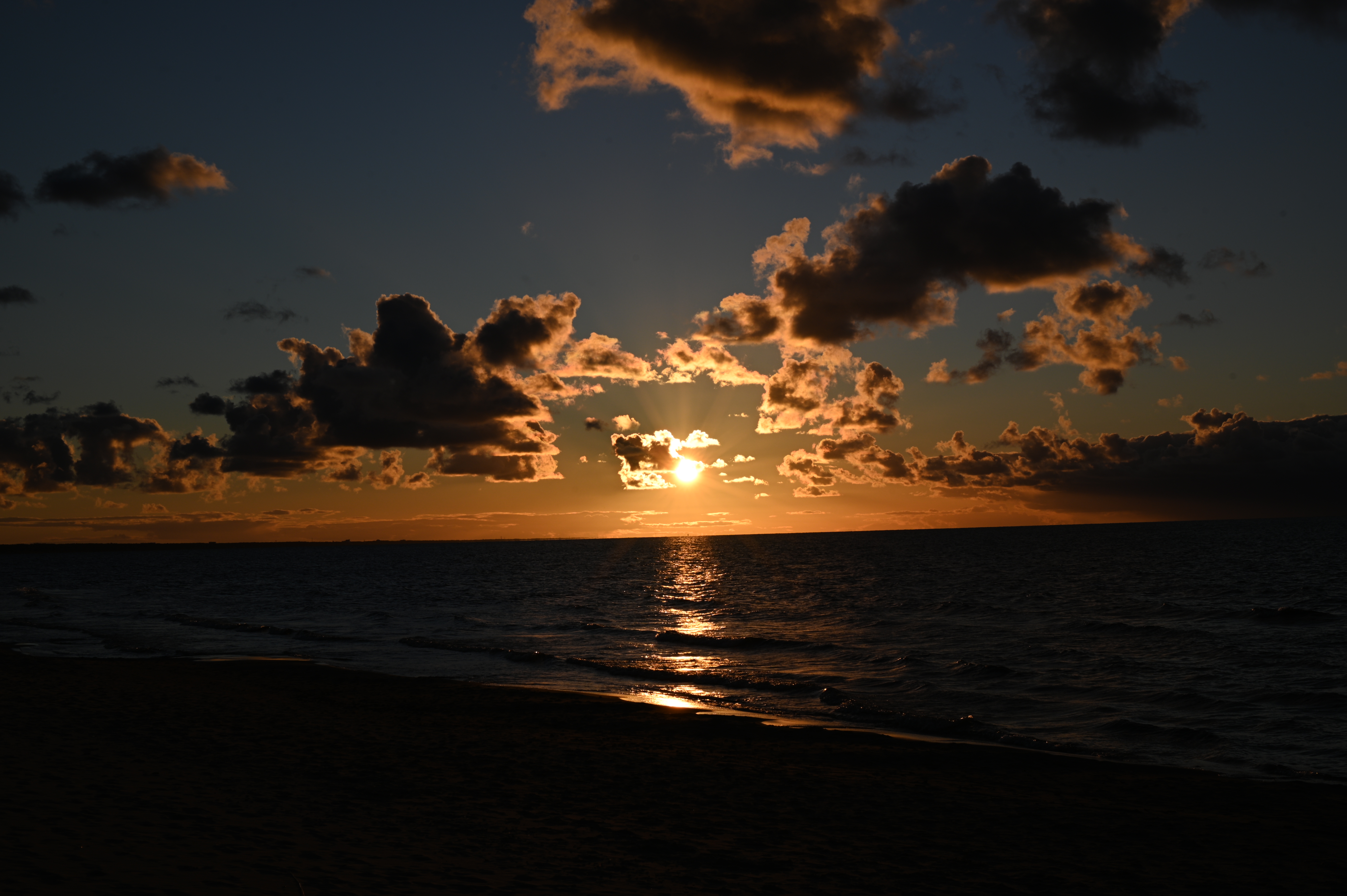 2025/10/18 - walk/DSC_0355.JPG